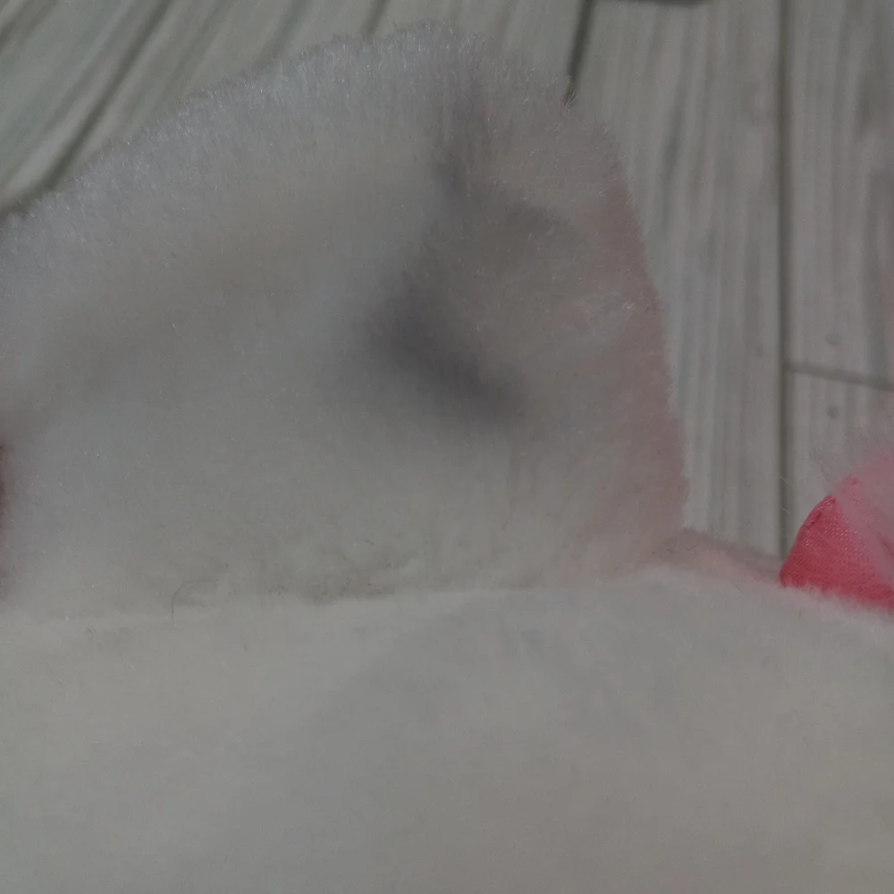 Disney Aristocats Marie Big Feet Plush Kitty Cat